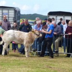 agriculture Show