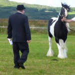 agriculture Show Prämierung des schönsten Pferdes